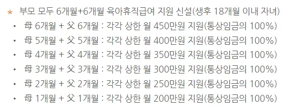 6+6 부모 육아휴직제